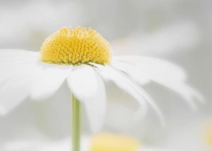 家居生活风水知识讲解