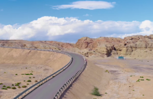 屋上土和松柏木和谐么