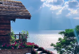 人的生活品位是指什么