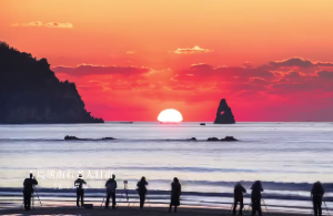 紫微斗数命例解析