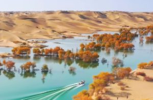  男女日柱阴阳相合有吸引力吗