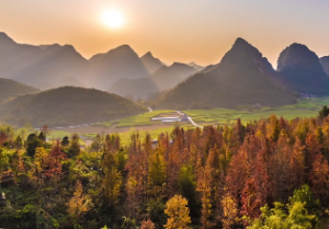 风水钟放在什么位置好