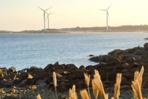 伤官配印如何发挥优点