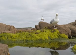 八字上和谁结婚是注定的吗