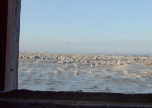 命里相克会有什么表现