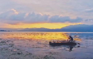 紫微斗数福德宫无主星