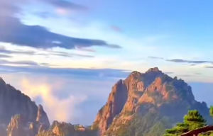 牛的天干是什么啊