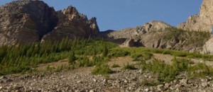 十神组合怎么看