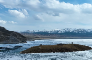 78年女马2021年婚姻最终归宿