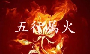 五行属火的行业