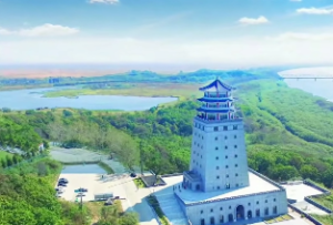  天同入福德宫的女人婚姻