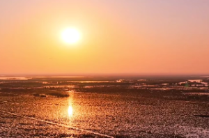 用神为土的职业讲究