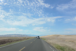 地支午火是阳火还是阴火