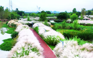 88大林木和98城头土