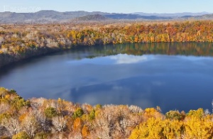 蝙蝠的吉祥象征与现代风水