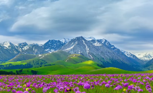 天风姤卦详解 卦辞