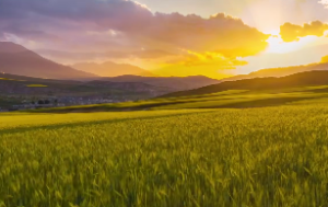 紫微斗数绝是什么意思