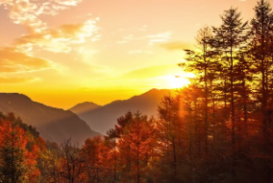 周易第17卦泽雷随卦详解