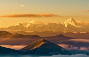 四柱八字的四柱是指