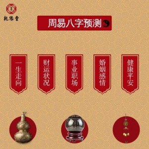 八字的胎元是什么意思