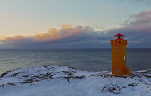 核心功效与禁忌