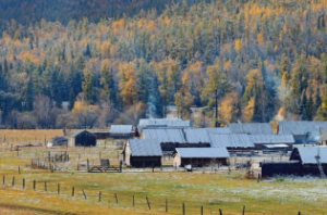 巨日同宫格在申