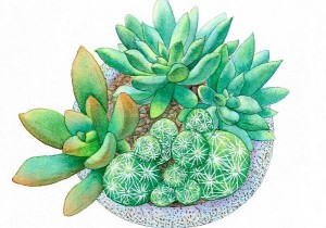 怎么化解对面楼房的煞气