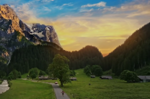 曲直仁寿格/曲直格