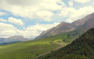 戌时出生的女孩姻缘