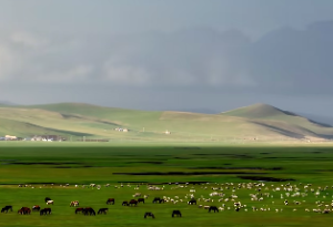 紫微斗数命定姻缘