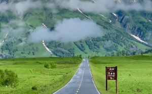 天干丙喜欢哪个地支