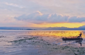 山雷颐卦能预测哪些事情