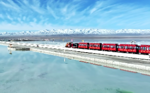 八字命理的空亡是什么意思