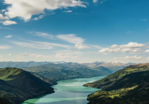 什么是伤官见官的女命