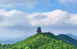 大林木最忌讳什么命