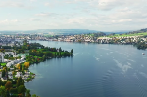 女命辛丑日柱好吗