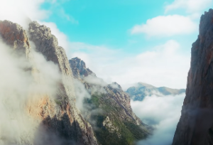 四柱中喜用神是什么