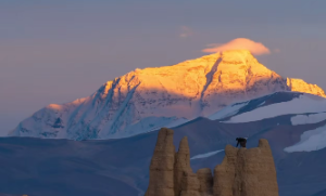 在八卦中兑为泽,泽又是什么意思