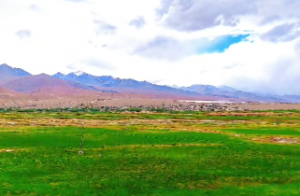  井泉水命和石榴木命