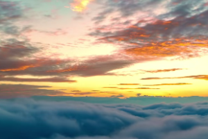 八字天干地支喜忌