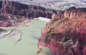 八字专旺格如何取用神