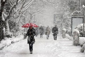 梦见下雪了白茫茫一片什么预兆