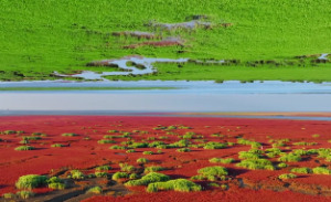 第二十一卦 噬嗑 火雷噬嗑