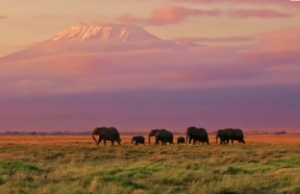 办公桌风水摆放位置