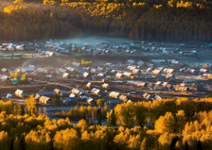 文星拱命格是什么格局