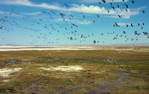 天干地支暗合是什么含义