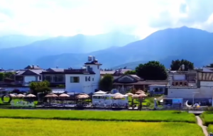  当大官一般出生几月