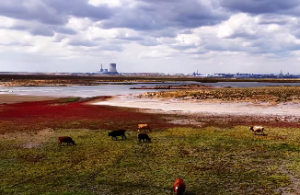 金木水火土是什么命