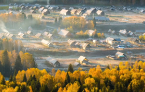 紫微斗数天机星在命宫