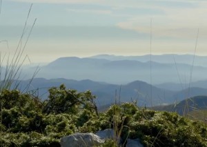 脾气暴躁的八字特点